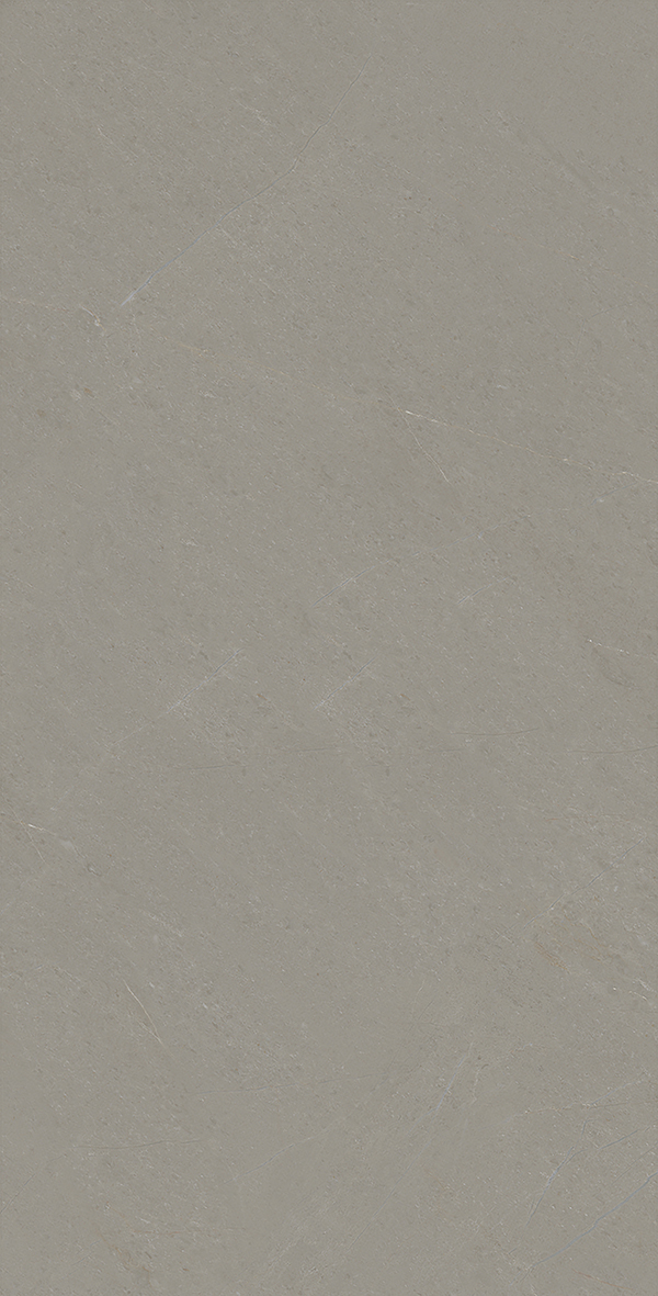 2-P66093产品图