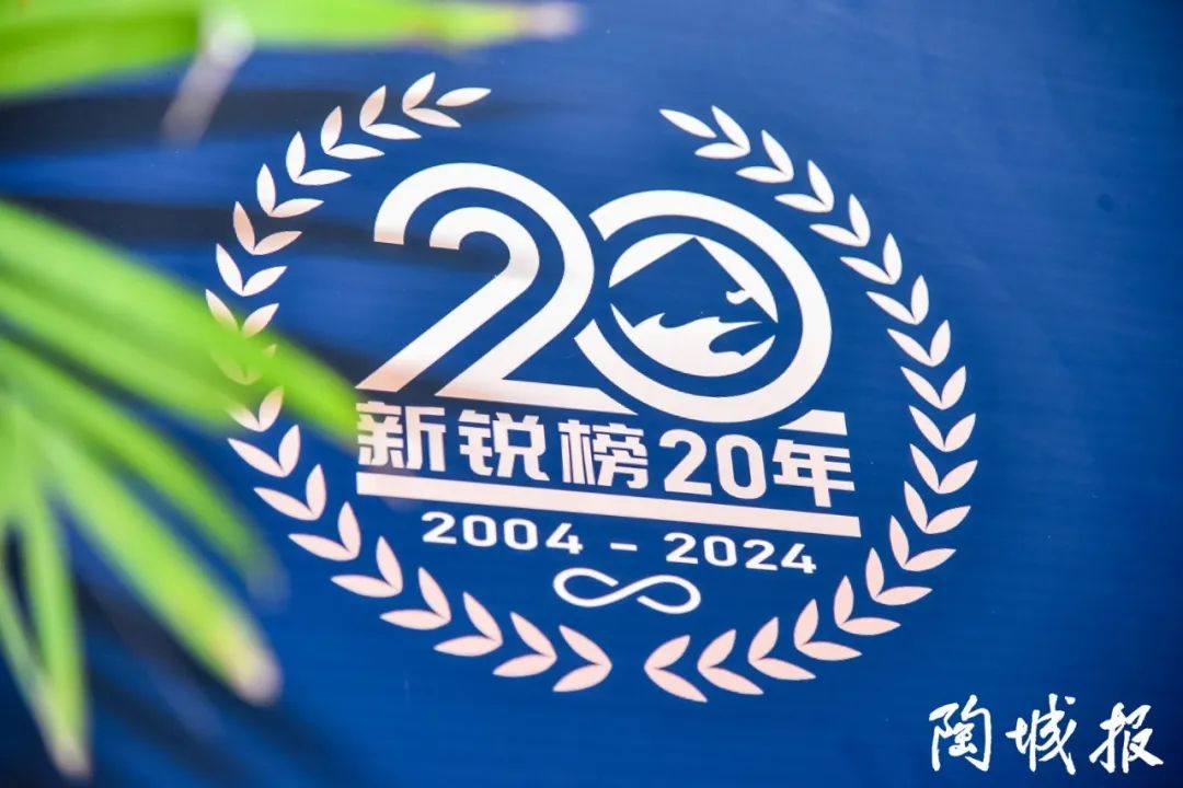 卓越力量，载誉领航！大将军瓷砖实力斩获“新锐榜20年卓越品牌”荣誉(图3)